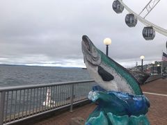 -西雅图水族馆