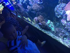 -御唐府海珊瑚主题餐厅