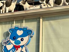 -心乐生活新鲜屋(星海广场店)