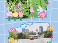 -黄兴公园