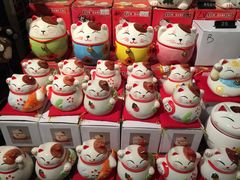 -猫咪博物馆(顶澳仔猫街店)