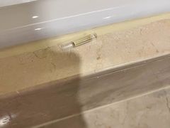 -成都天府丽都喜来登饭店