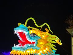 -青龙湖公园