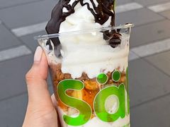 -Salud撒露欧洲冻酸奶(五道口购物中心店)