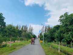 -上海长兴岛郊野公园