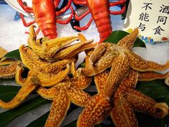 -裕龙汤泉