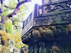 -普陀山风景名胜区-法雨禅寺