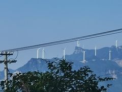 -重庆睡佛山森林公园