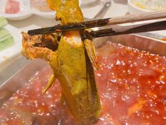 -红鼎坊·老成都火锅(新南门店)