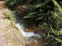 -广州市白云山风景名胜区