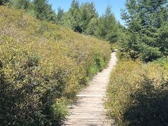 -苏木山森林公园