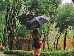 -重庆市江北嘴中央商务区中央公园