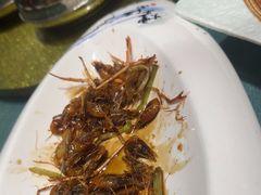 -西塘人家•黑金冠本地好店