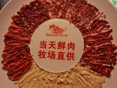 -手选潮汕鲜活牛肉火锅(二七广场店)