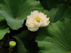 -黄兴公园