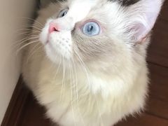 -佳雯宠物医院(金华南路分院)