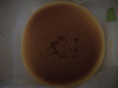 -西树泡芙(郑州二七万达店)