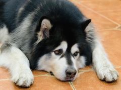 -邱记私房菜·十八年本地菜