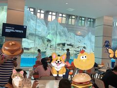 -帝企鹅自助餐厅•儿童岛•真企鹅(长隆企鹅酒店)