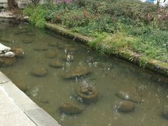 -天赐温泉