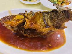 挣蹦鲤鱼-奥华餐厅·老张记(台基厂店)