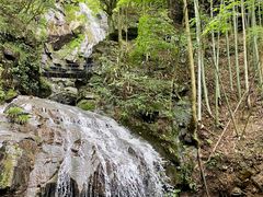 -藏龙百瀑风景区