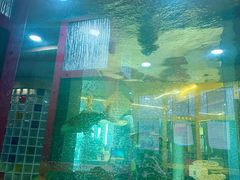 -齐海鱼圣深海石斑鱼火锅店(极地海洋世界店)