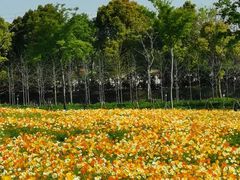 -歌斐颂巧克力小镇