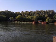 -西湖外事游船(花港观鱼码头)