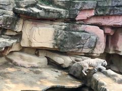 -无锡动物园·太湖欢乐园