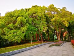 -北外滩滨江绿地