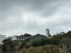 -渔寮风景区