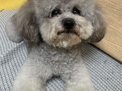 -宠福鑫康馨动物医院·骨科·眼科