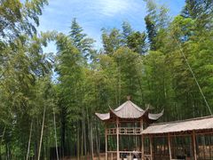 -宜兴龙背山森林公园
