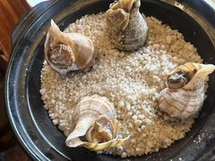 -顺德了能馆(虎门店)
