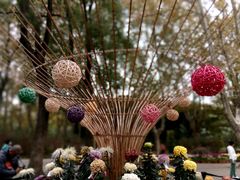 -上海共青森林公园