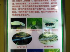 -上海昆虫博物馆