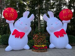 -广州市帽峰山景区