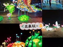 -大连老虎滩海洋公园