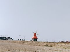 -杭州湾海上花田景区