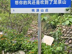 -桃源山庄·水蜜桃采摘·柴火鸡·烧烤团建(龙泉山店)
