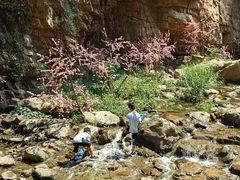 -湖洞水自然风景区