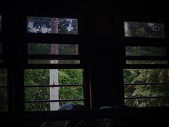 -热带雨林自然公园