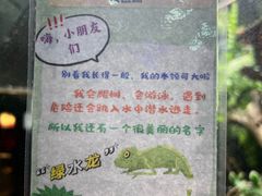 -上海大自然野生昆虫馆(东方明珠·爬宠昆虫探索中心)