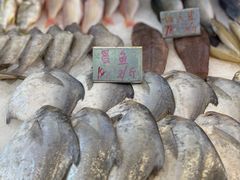 -温岭人家(红花北路店)