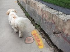 -江燕路万科里