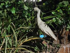 -浙江自然博物院(杭州馆)