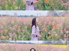 -中国天府农业博览园