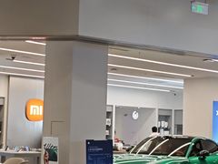 -小米之家汽车(永旺梦乐城店)