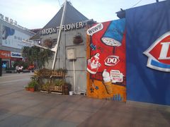 -证大大拇指广场(芳甸路店)